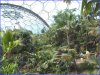 The Eden Project