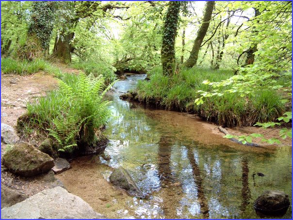 Golitha Falls