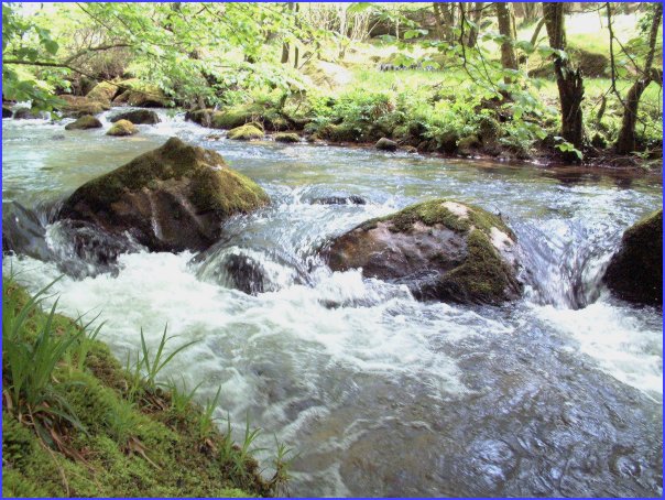 Golitha Falls