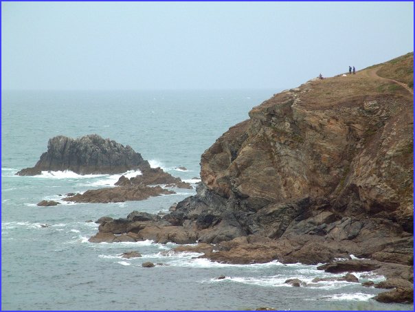 Lizard Point