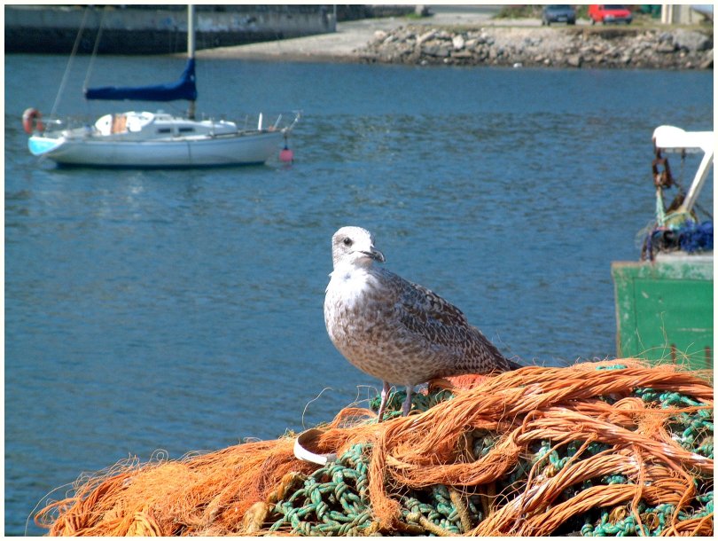 Newlyn