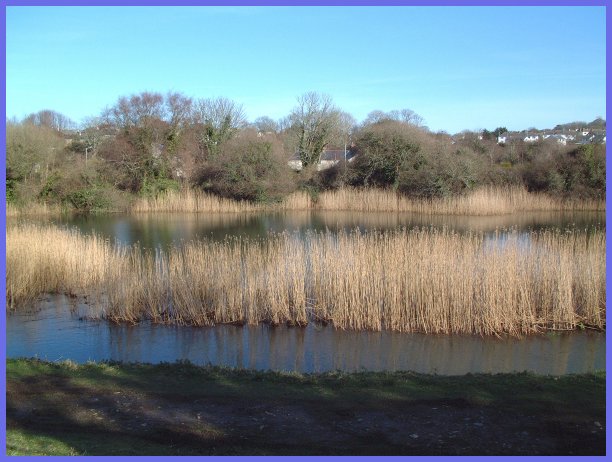 River Hayle